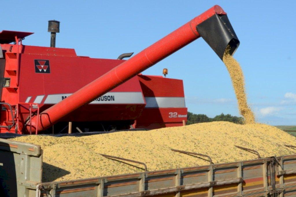 Produção de grãos deve crescer 5% na próxima safra, estima Epagri