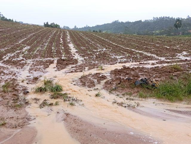 Desafios e soluções para mitigar a erosão provocada pelas chuvas na agricultura catarinense
